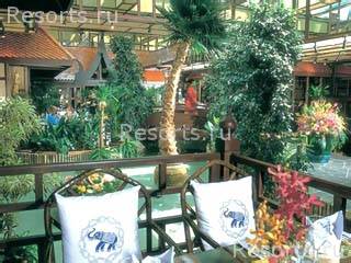 Al Bustan Rotana Hotel Dubai 28
